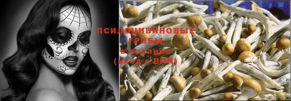 индика Верхнеуральск