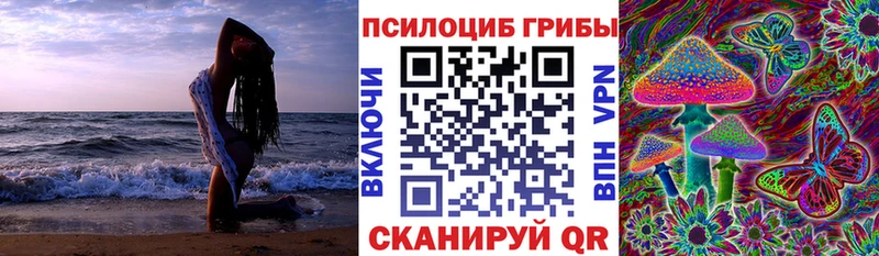 Псилоцибиновые грибы MAGIC MUSHROOMS  Купить закладки  Алушта 